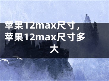 蘋果12max尺寸，蘋果12max尺寸多大