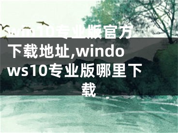 win10專業(yè)版官方下載地址,windows10專業(yè)版哪里下載