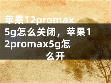 蘋果12promax5g怎么關(guān)閉，蘋果12promax5g怎么開