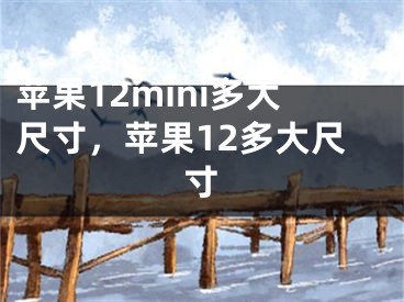 蘋果12mini多大尺寸，蘋果12多大尺寸