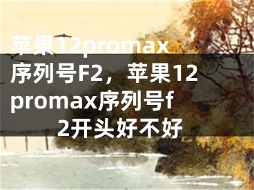 蘋果12promax序列號F2，蘋果12promax序列號f2開頭好不好