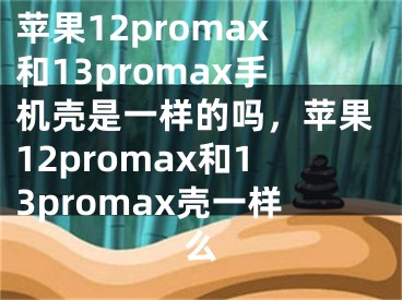 蘋果12promax和13promax手機殼是一樣的嗎，蘋果12promax和13promax殼一樣么