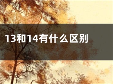 13和14有什么區(qū)別