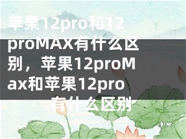 蘋果12pro和12proMAX有什么區(qū)別，蘋果12proMax和蘋果12pro有什么區(qū)別