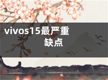 vivos15最嚴重缺點