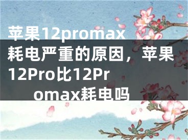 蘋果12promax耗電嚴重的原因，蘋果12Pro比12Promax耗電嗎