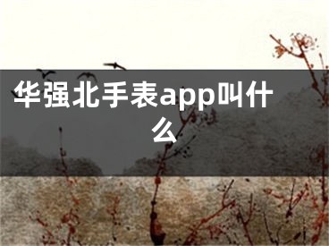 華強(qiáng)北手表app叫什么