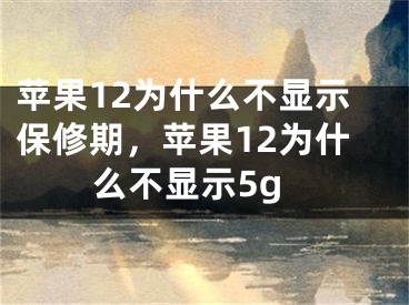 蘋果12為什么不顯示保修期，蘋果12為什么不顯示5g