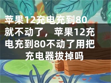 蘋(píng)果12充電充到80就不動(dòng)了，蘋(píng)果12充電充到80不動(dòng)了用把充電器拔掉嗎