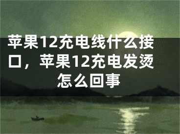 蘋(píng)果12充電線什么接口，蘋(píng)果12充電發(fā)燙怎么回事