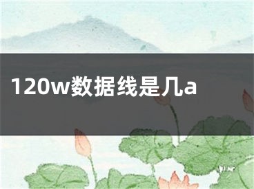 120w數(shù)據(jù)線是幾a