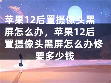 蘋果12后置攝像頭黑屏怎么辦，蘋果12后置攝像頭黑屏怎么辦修要多少錢