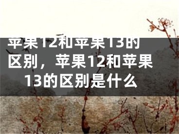 蘋果12和蘋果13的區(qū)別，蘋果12和蘋果13的區(qū)別是什么