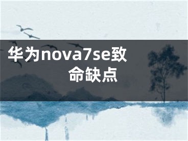 華為nova7se致命缺點