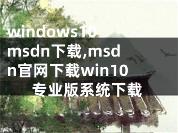 windows10 msdn下載,msdn官網(wǎng)下載win10專業(yè)版系統(tǒng)下載