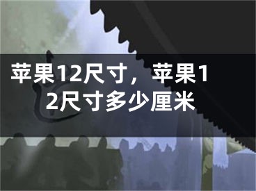 蘋(píng)果12尺寸，蘋(píng)果12尺寸多少厘米