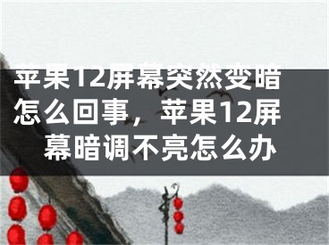 蘋果12屏幕突然變暗怎么回事，蘋果12屏幕暗調(diào)不亮怎么辦