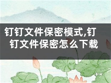 釘釘文件保密模式,釘釘文件保密怎么下載