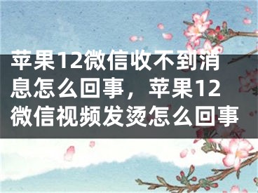 蘋果12微信收不到消息怎么回事，蘋果12微信視頻發(fā)燙怎么回事