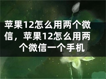 蘋(píng)果12怎么用兩個(gè)微信，蘋(píng)果12怎么用兩個(gè)微信一個(gè)手機(jī)