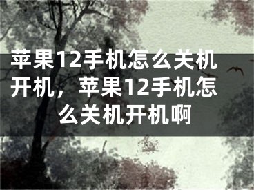 蘋果12手機怎么關(guān)機開機，蘋果12手機怎么關(guān)機開機啊