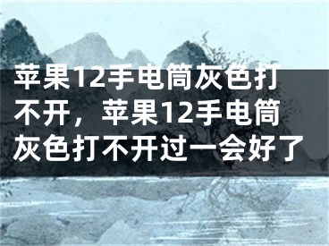 蘋果12手電筒灰色打不開，蘋果12手電筒灰色打不開過一會好了