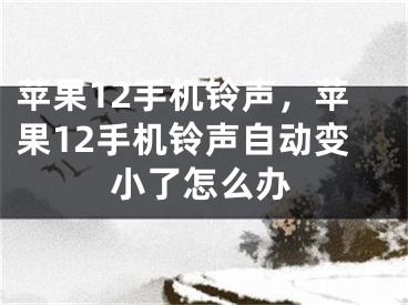 蘋果12手機(jī)鈴聲，蘋果12手機(jī)鈴聲自動(dòng)變小了怎么辦