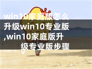 win10家庭版怎么升級win10專業(yè)版,win10家庭版升級專業(yè)版步驟