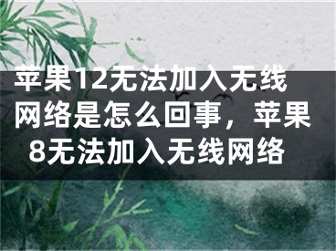 蘋果12無法加入無線網(wǎng)絡(luò)是怎么回事，蘋果8無法加入無線網(wǎng)絡(luò)