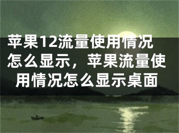 蘋果12流量使用情況怎么顯示，蘋果流量使用情況怎么顯示桌面