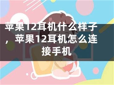 蘋果12耳機什么樣子，蘋果12耳機怎么連接手機