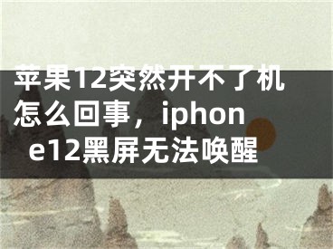 蘋果12突然開不了機怎么回事，iphone12黑屏無法喚醒