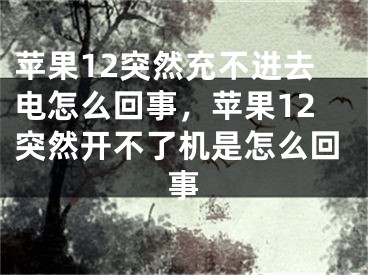 蘋果12突然充不進去電怎么回事，蘋果12突然開不了機是怎么回事