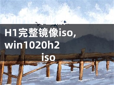 win10專業(yè)版21H1完整鏡像iso,win1020h2 iso