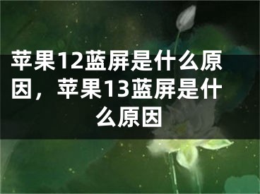 蘋(píng)果12藍(lán)屏是什么原因，蘋(píng)果13藍(lán)屏是什么原因