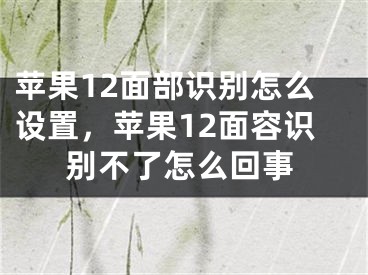 蘋果12面部識別怎么設(shè)置，蘋果12面容識別不了怎么回事