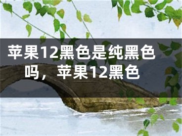 蘋果12黑色是純黑色嗎，蘋果12黑色