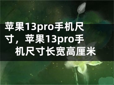 蘋果13pro手機尺寸，蘋果13pro手機尺寸長寬高厘米