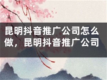 昆明抖音推廣公司怎么做，昆明抖音推廣公司