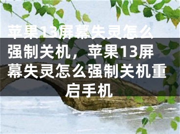 蘋果13屏幕失靈怎么強制關(guān)機，蘋果13屏幕失靈怎么強制關(guān)機重啟手機