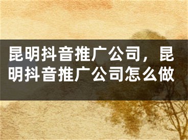 昆明抖音推廣公司，昆明抖音推廣公司怎么做