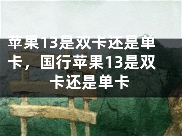 蘋果13是雙卡還是單卡，國(guó)行蘋果13是雙卡還是單卡