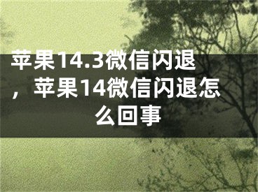 蘋果14.3微信閃退，蘋果14微信閃退怎么回事