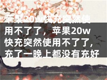 蘋果20w快充突然使用不了了，蘋果20w快充突然使用不了了,充了一晚上都沒有充好