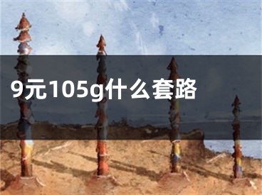 9元105g什么套路