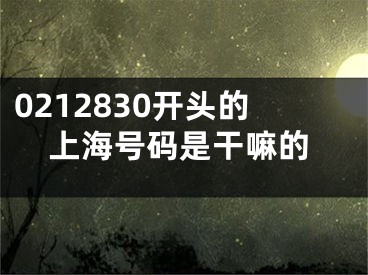 0212830開頭的上海號碼是干嘛的