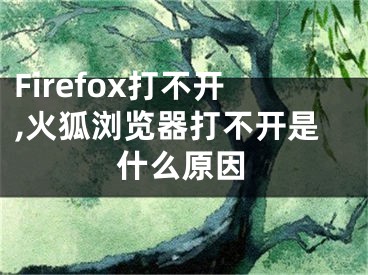 Firefox打不開,火狐瀏覽器打不開是什么原因