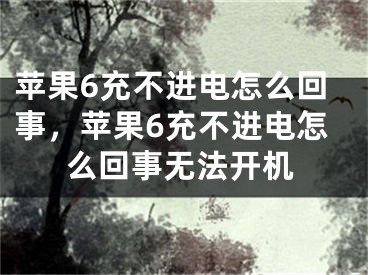 蘋果6充不進(jìn)電怎么回事，蘋果6充不進(jìn)電怎么回事無(wú)法開機(jī)