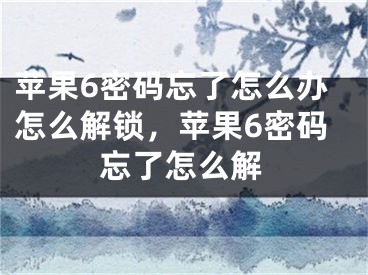 蘋果6密碼忘了怎么辦怎么解鎖，蘋果6密碼忘了怎么解