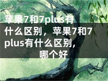 蘋果7和7plus有什么區(qū)別，蘋果7和7plus有什么區(qū)別,哪個(gè)好